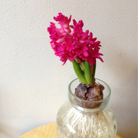 image-20150219212508.png